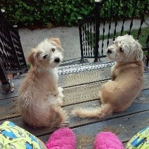 Meet your Posher, Liezel